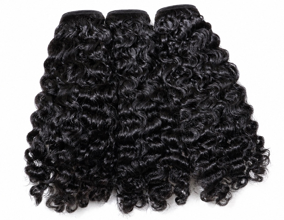 Burmese Curly